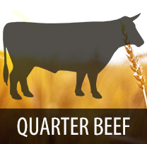 Quarter Beef