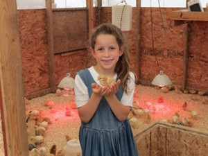 Emma with one of the baby chicks soon after arrival to our farm